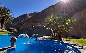 Paraiso Palmeras - Sangalle